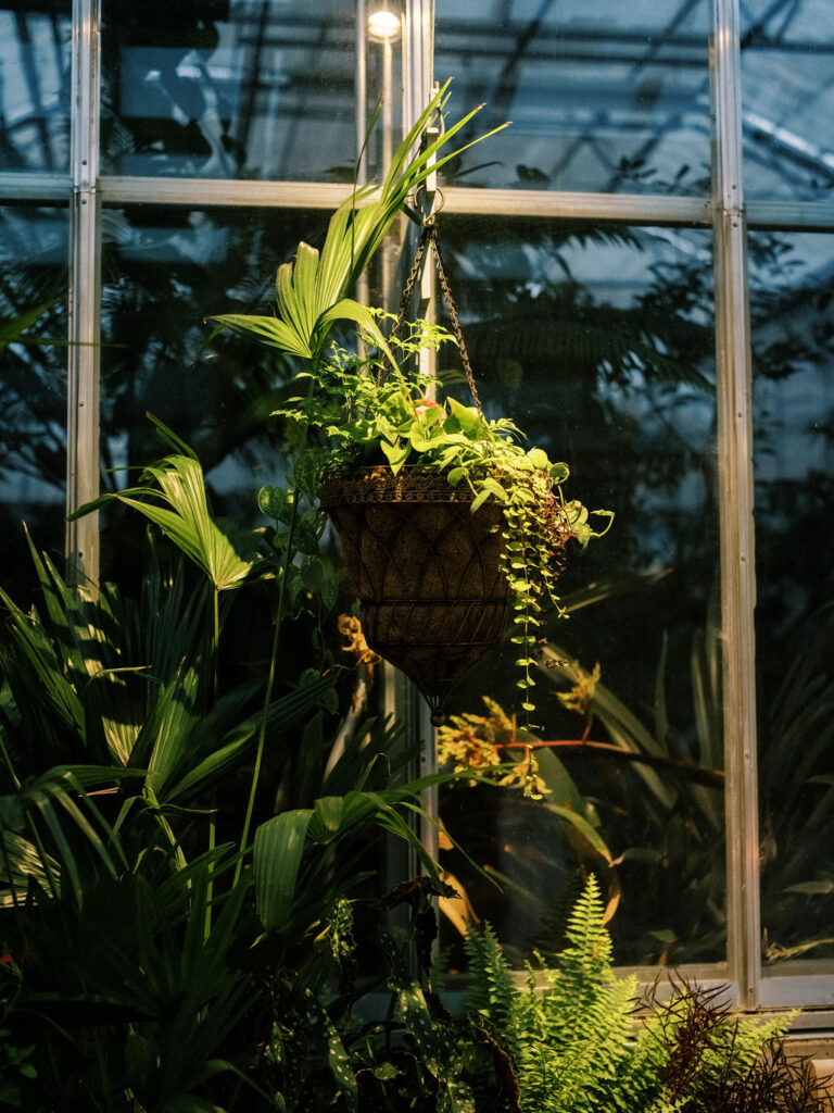 Denver Botanic Gardens Wedding, Denver Wedding Photographer, Denver Botanic Gardens Weddings, Jordan Gresham Photography