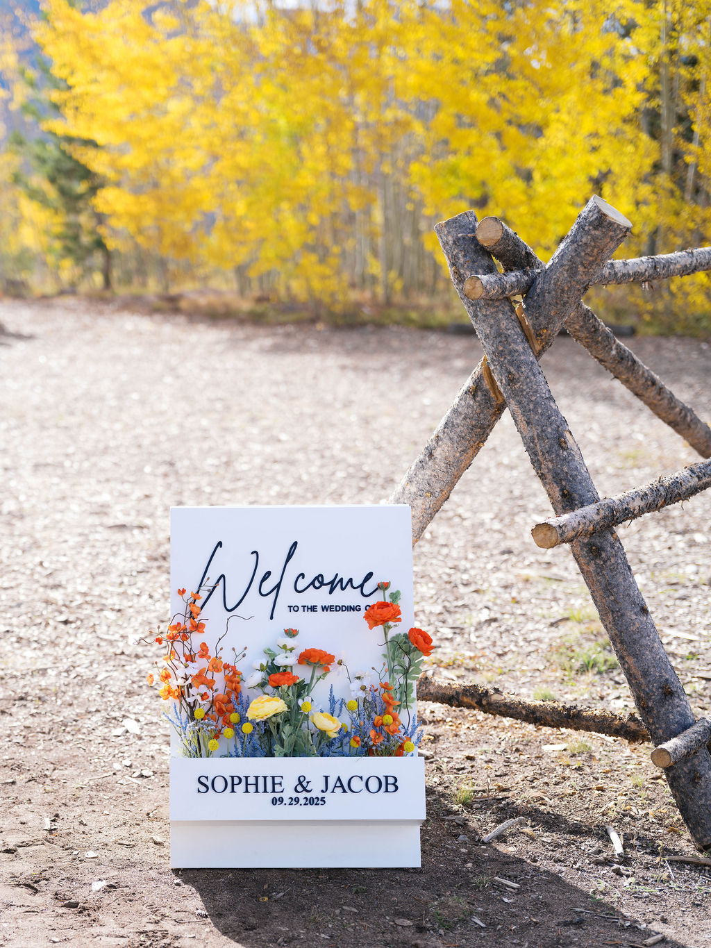 Breckenridge Wedding Ceremony